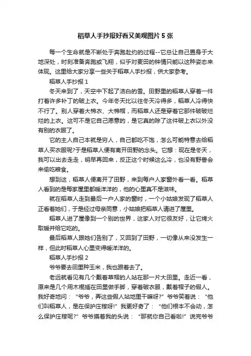 稻草人手抄报好看又美观图片5张