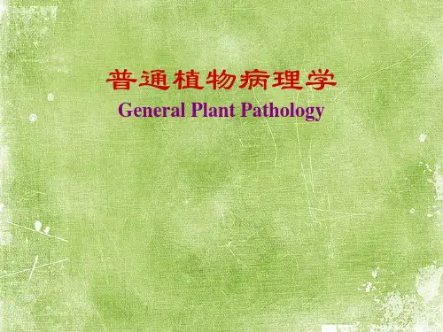 植物病害的侵染过程及侵染循环-PPT
