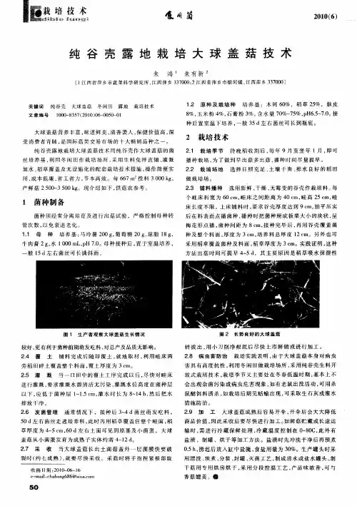纯谷壳露地栽培大球盖菇技术