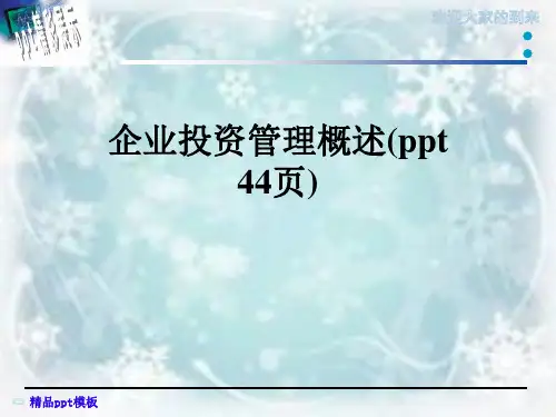企业投资管理概述(ppt 44页)