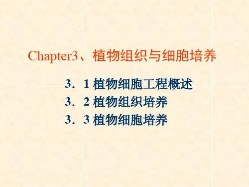 细胞工程植物组织与细胞培养