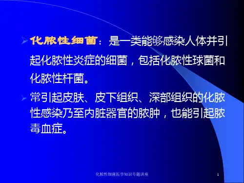 化脓性细菌医学知识专题讲座培训课件