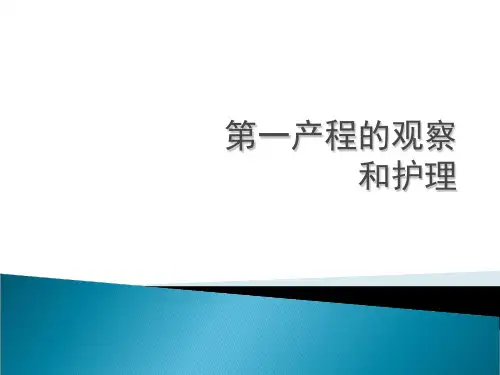 第一产程的观察和处理 共24页
