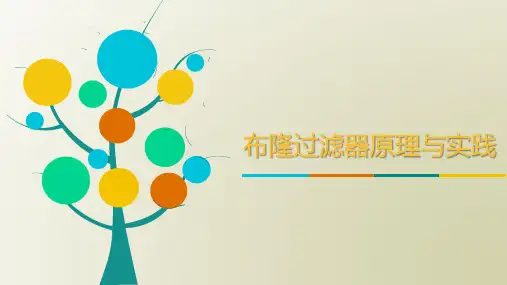 布隆过滤器原理与实践技术分享ppt