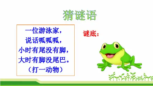 新人教部编版二年级语文上册《小蝌蚪找妈妈》优质教学课件ppt