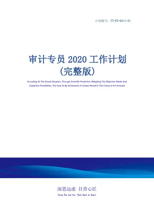 审计专员2020工作计划(完整版)
