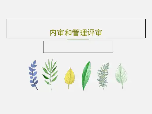 内审和管理评审共109页PPT