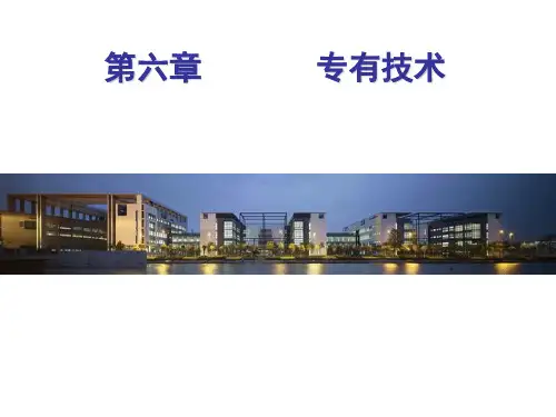 第六章专有技术
