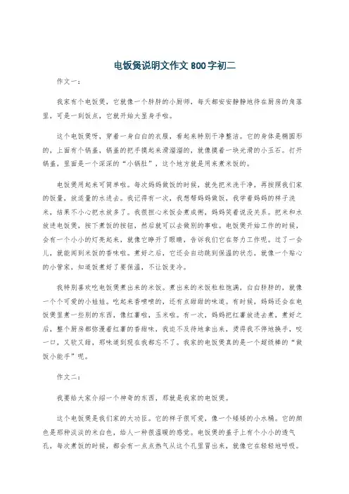 电饭煲说明文作文800字初二