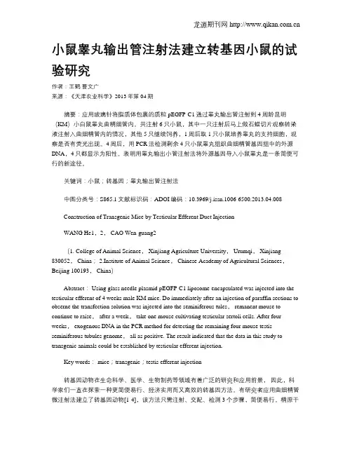 小鼠睾丸输出管注射法建立转基因小鼠的试验研究