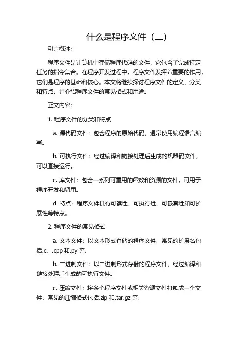 什么是程序文件(二)