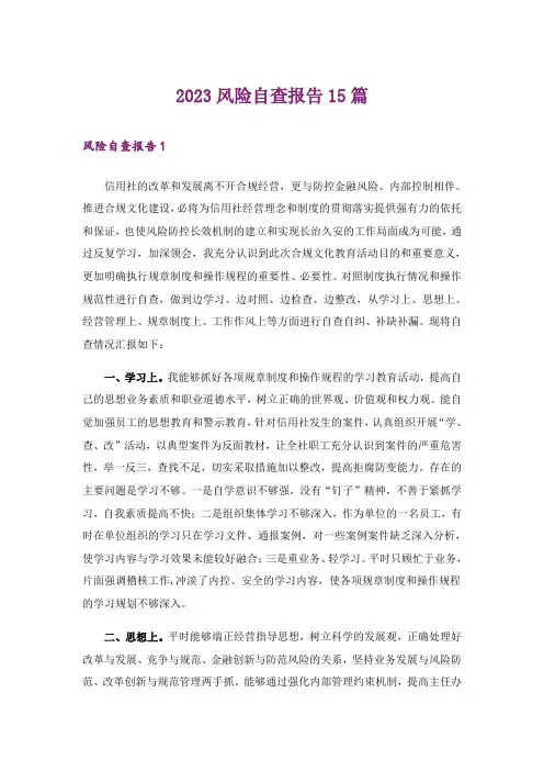 2023风险自查报告15篇