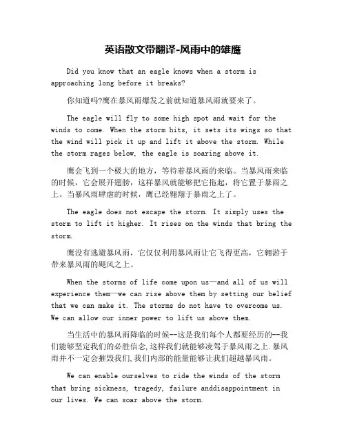 英语散文带翻译-风雨中的雄鹰