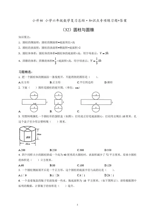 小升初六年级数学专项练习《(32)圆柱与圆锥》知识点总结复习训练