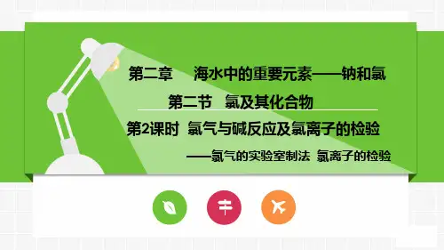 氯气与碱反应及氯离子的检验