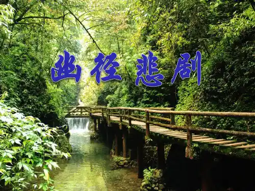 幽径悲剧- 优秀PPT课件3