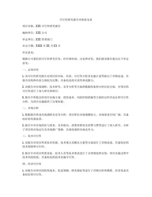 可行性研究报告审批意见表