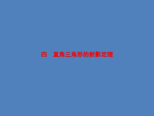 直角三角形的射影定理