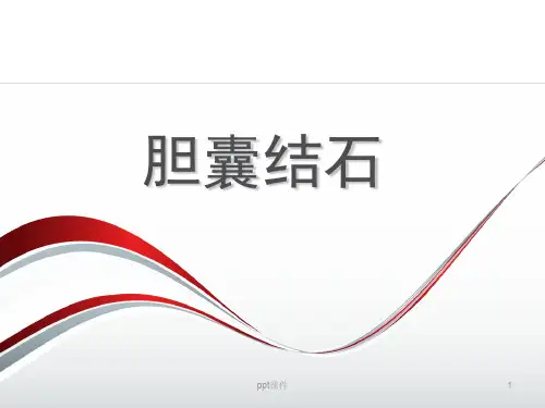 胆囊结石  ppt课件