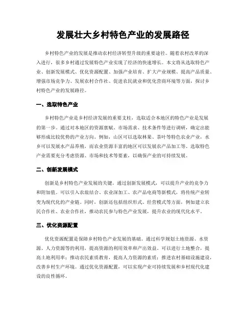 发展壮大乡村特色产业的发展路径
