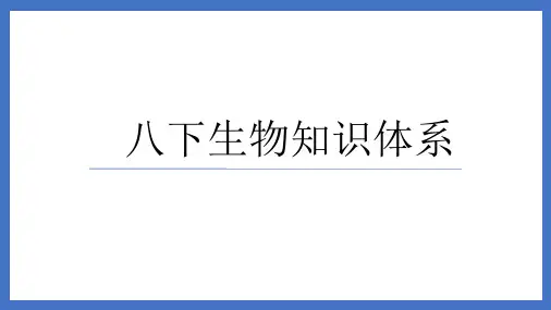复习课件2023-2024学年人教版生物八年级下册