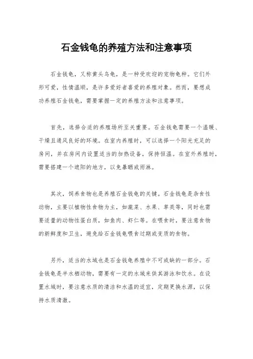 石金钱龟的养殖方法和注意事项