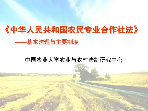 第四章 农民专业合作社法