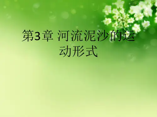 第3章 河流泥沙的运动形式优秀PPT