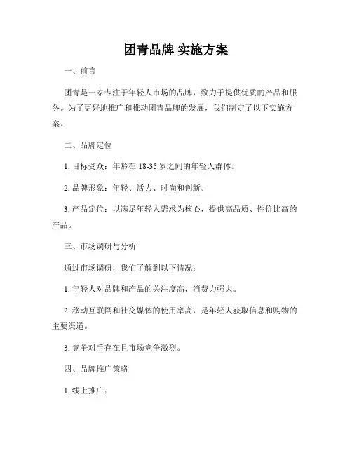 团青品牌 实施方案