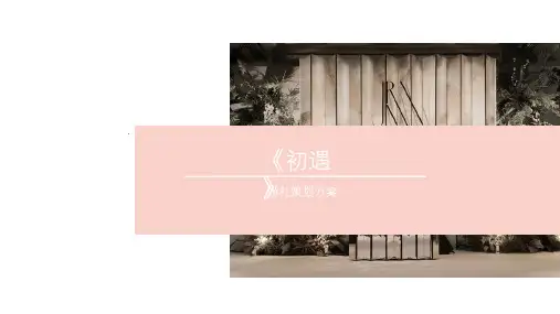 婚礼策划《初遇》策划ppt