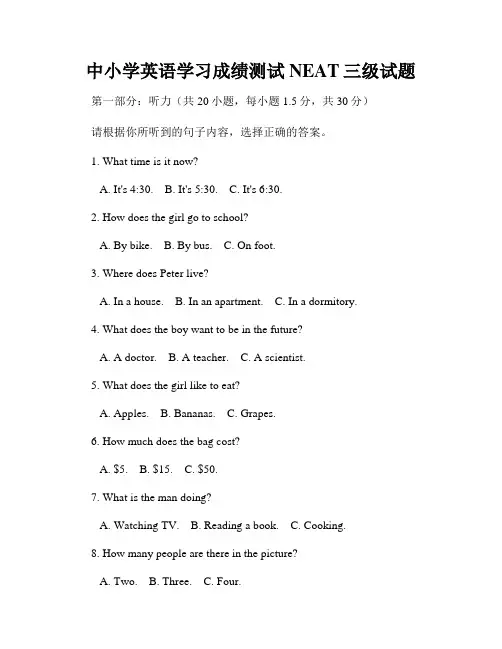 中小学英语学习成绩测试NEAT三级试题