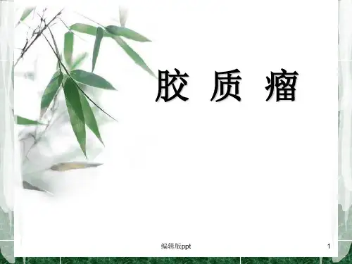 胶质瘤医学PPT