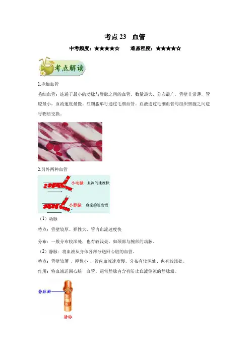 中考生物一遍过考点23 血管