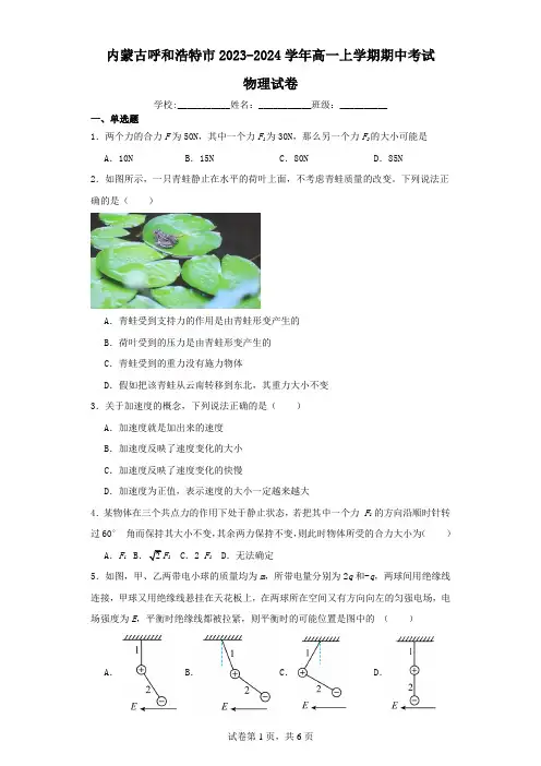 内蒙古呼和浩特市2023-2024学年高一上学期期中考试物理试卷(含解析)