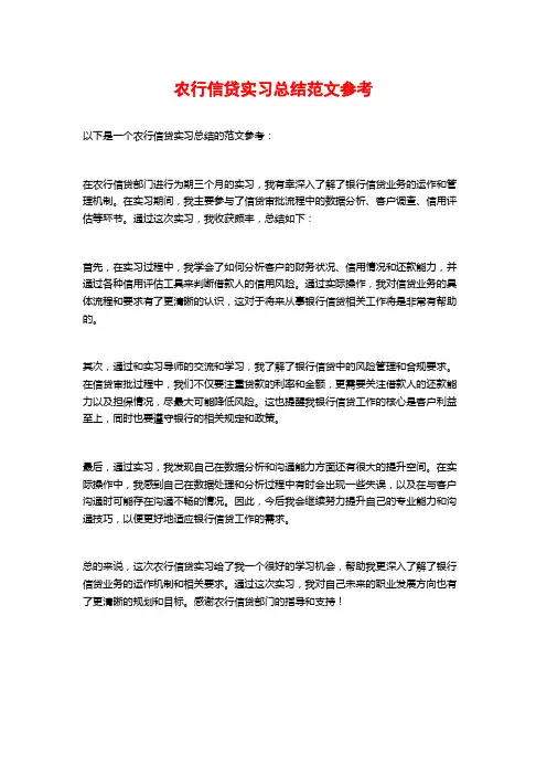 农行信贷实习总结范文参考