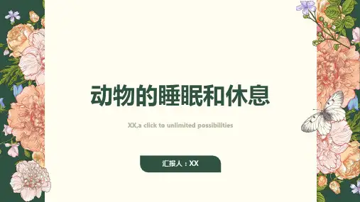动物的睡眠和休息
