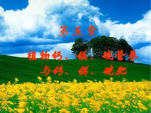 05 植物钙、镁、硫营养与钙、镁、硫肥