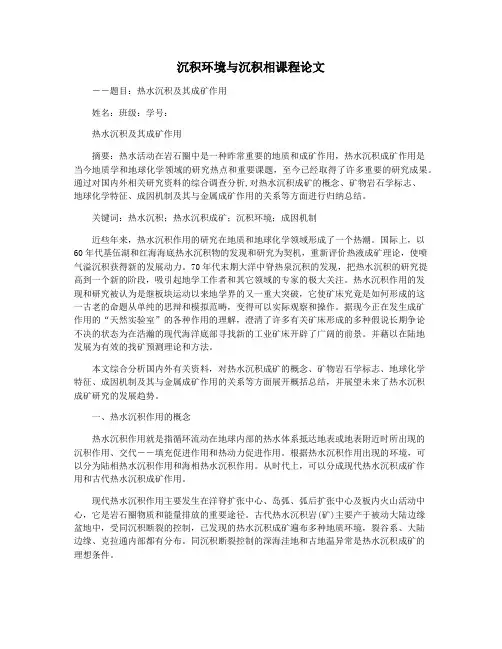 沉积环境与沉积相课程论文