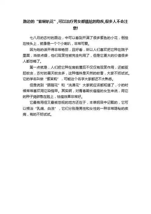 路边的“紫喇叭花”,可以治疗男女都尴尬的隐疾,很多人不会注意!