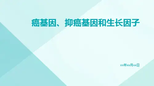 癌基因抑癌基因和生长因子