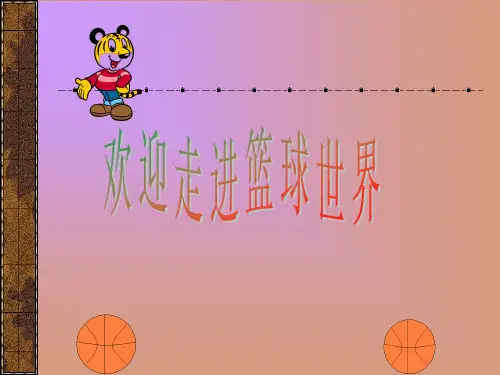 篮球的基本知识ppt