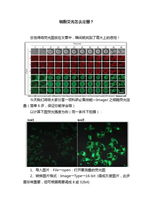 细胞荧光怎么定量？