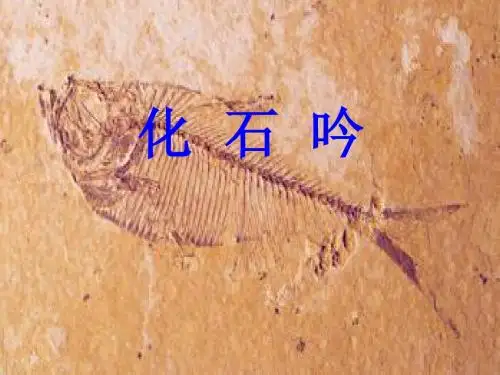 人教版初中语文七年级上册 化石吟 课件