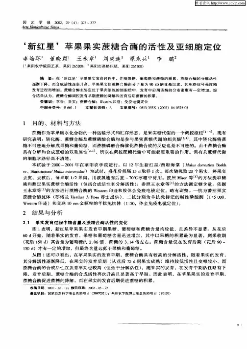 ‘新红星’苹果果实蔗糖合酶的活性及亚细胞定位