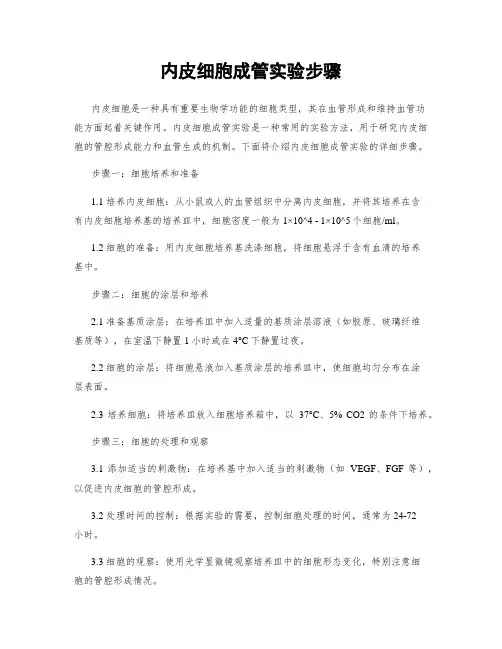内皮细胞成管实验步骤