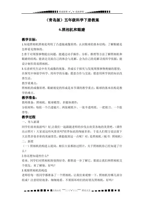 青岛版科学五下《照相机和眼睛》教学详案