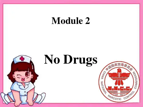 辽宁沈阳二十一中英语必修2外研版Module 2-1课件(19张)
