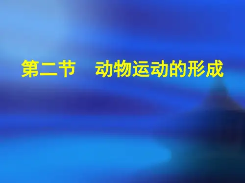 《动物运动的形成》参考()PPT课件