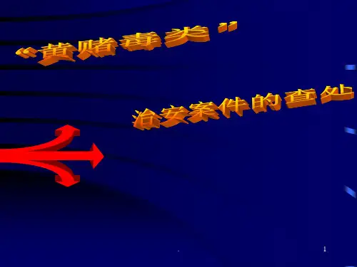 ： 黄赌毒案件查处PPT课件