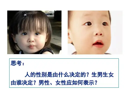 高中生物必修二第二章第三节《伴性遗传》